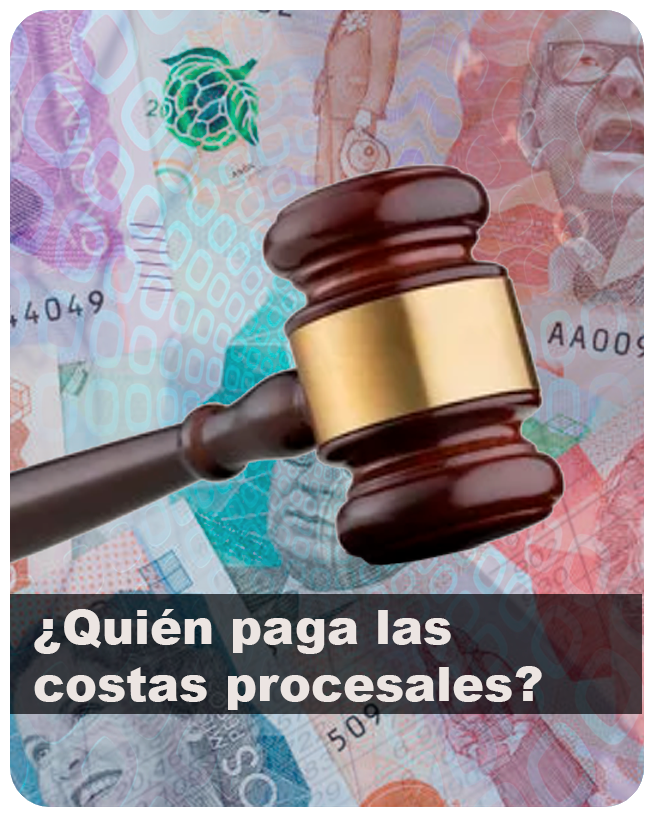 Concepto sobre personería jurídica